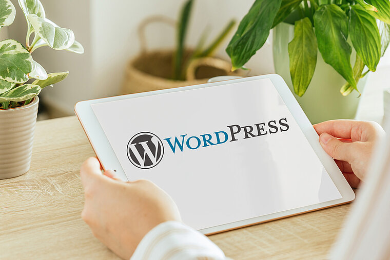 WordPress Internetagentur WordPress Internetagentur