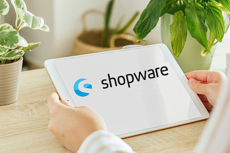 Shopware Internetagentur Shopware Internetagentur