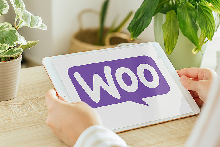 WooCommerce Internetagentur WooCommerce Internetagentur